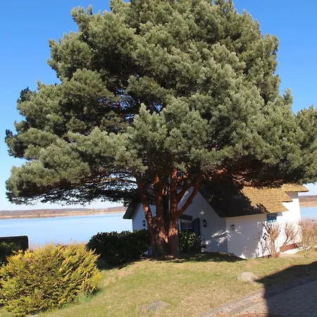 Seerose Holiday home